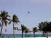 2.Parasail